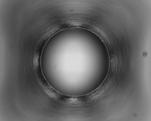 X0000100380406200806061223