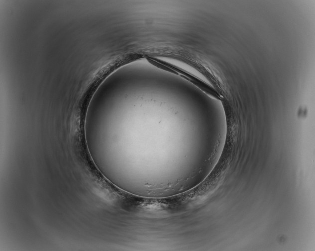 X0000100380407200806061223