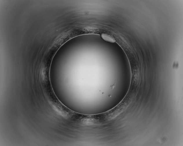 X0000100380408200806061223