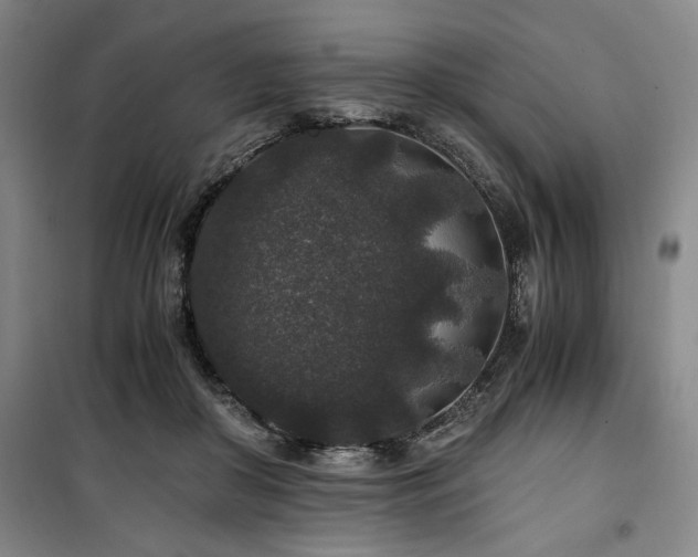 X0000100380410200806061223