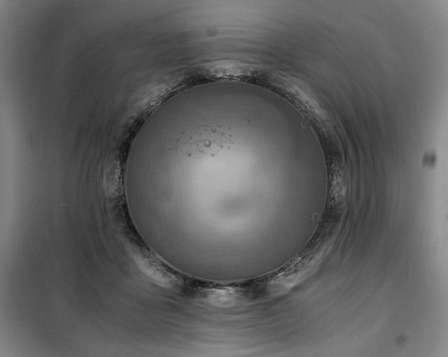 X0000100380411200806061223