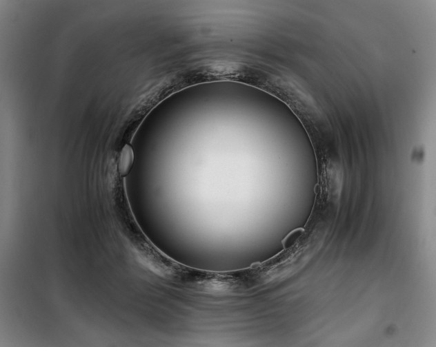 X0000100380412200806061223
