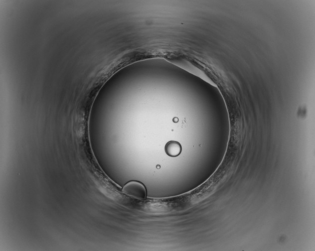 X0000100380413200806061223