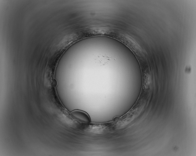 X0000100380414200806061223