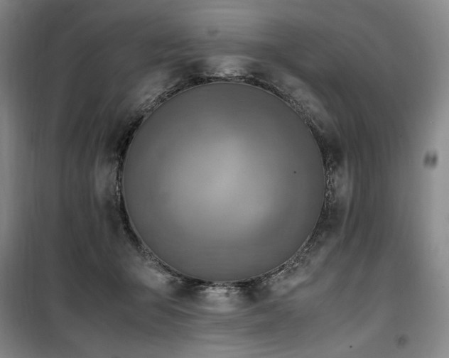 X0000100380415200806061223