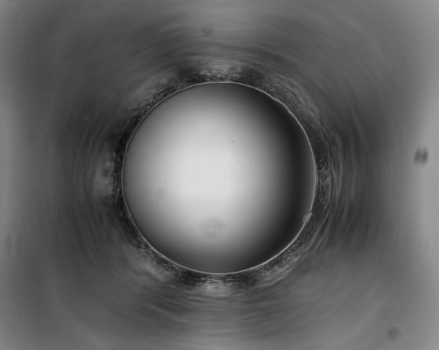 X0000100380416200806061223
