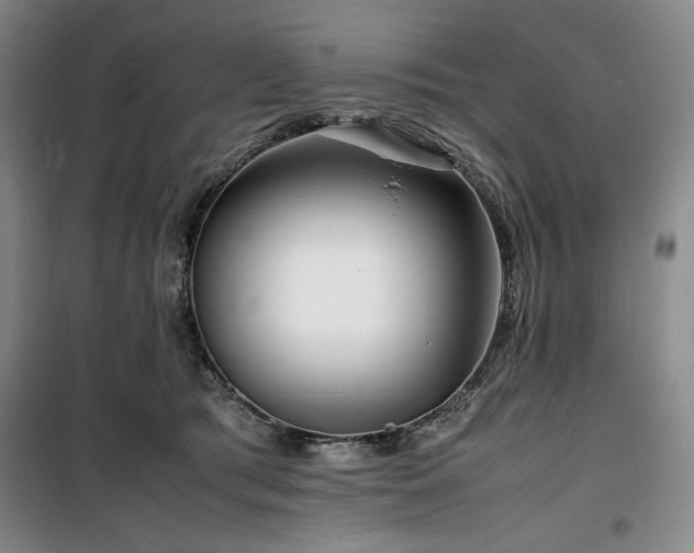 X0000100380417200806061223