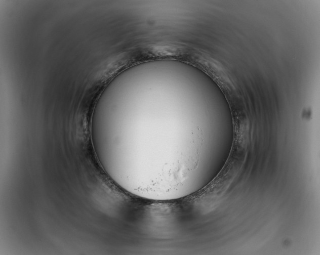 X0000100380418200806061223