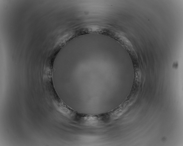 X0000100380419200806061223