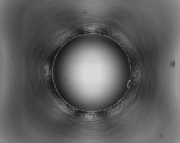 X0000100380420200806061223