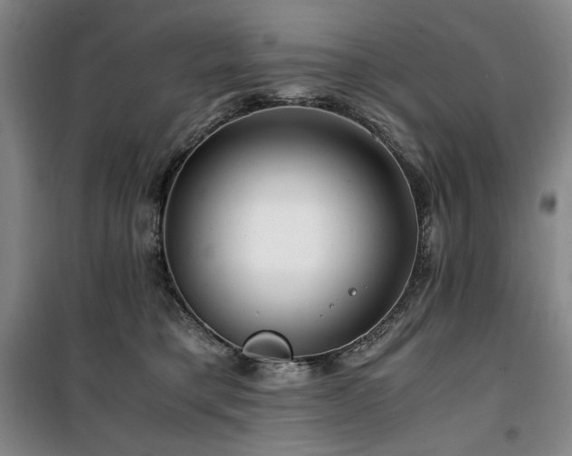 X0000100380421200806061223