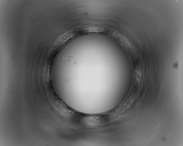 X0000100380422200806061223