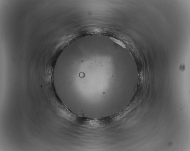 X0000100380423200806061223