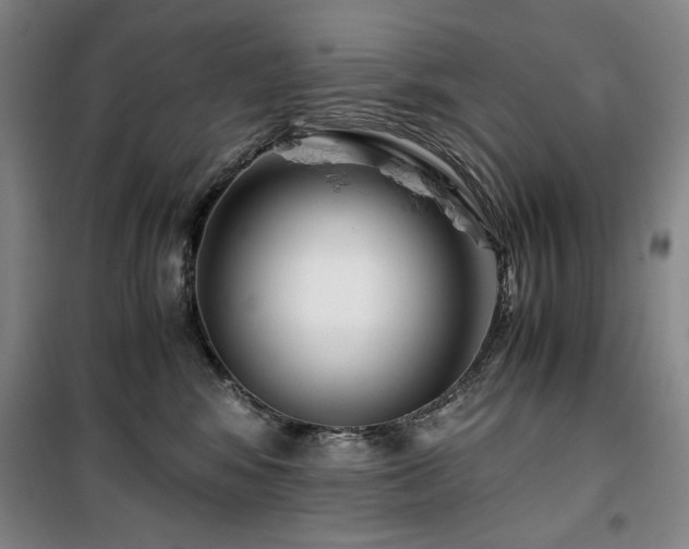 X0000100380424200806061223