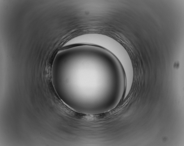 X0000100380425200806061223