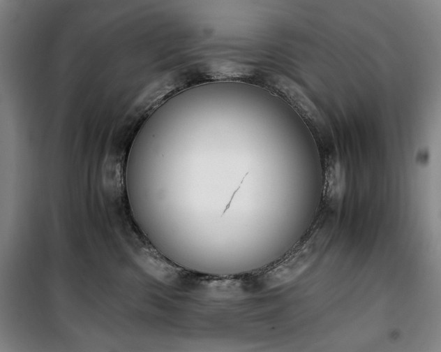 X0000100380426200806061223