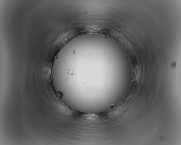 X0000100380427200806061223