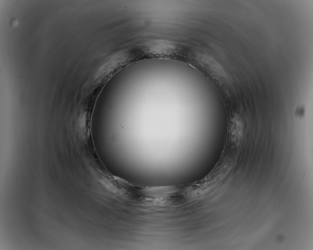 X0000100380428200806061223
