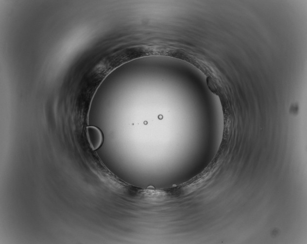 X0000100380429200806061223