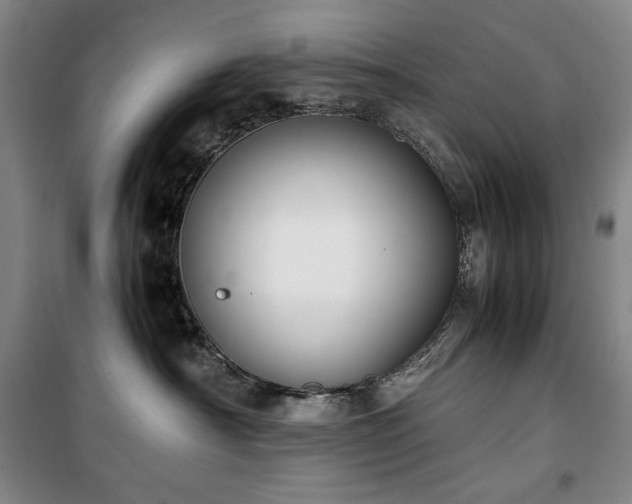 X0000100380430200806061223