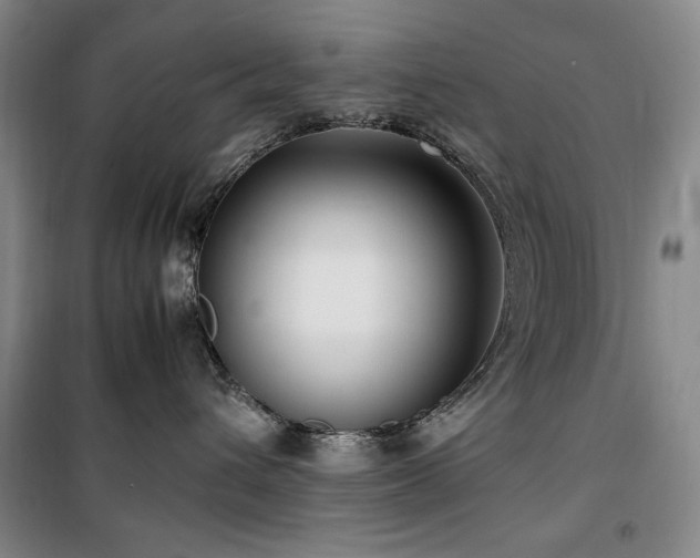 X0000100380432200806061223