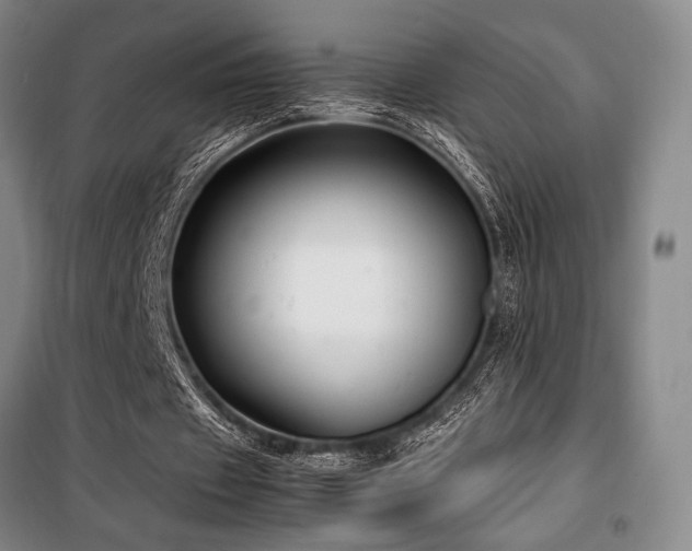 X0000100380433200806061222