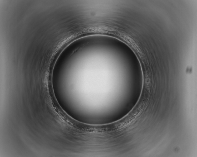 X0000100380434200806061222