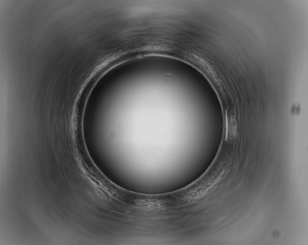 X0000100380435200806061222