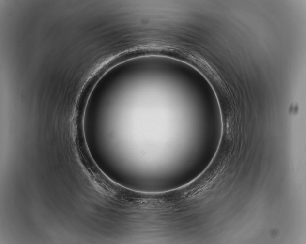 X0000100380436200806061222