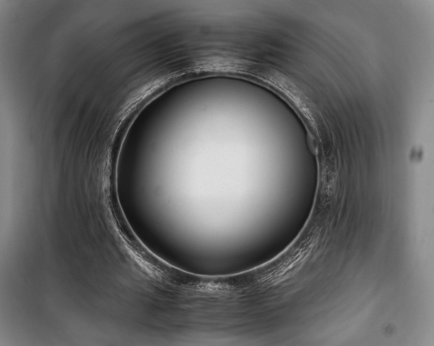 X0000100380437200806061222
