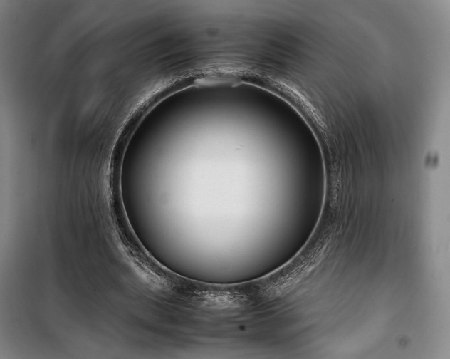 X0000100380439200806061222