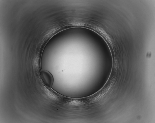 X0000100380441200806061222