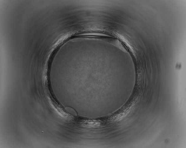 X0000100380443200806061222
