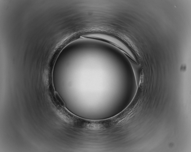 X0000100380444200806061222