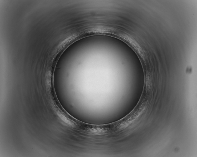 X0000100380445200806061222