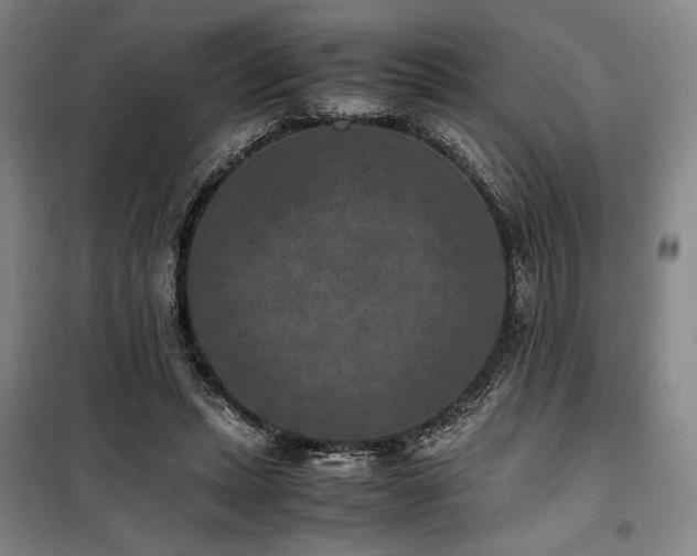 X0000100380447200806061222