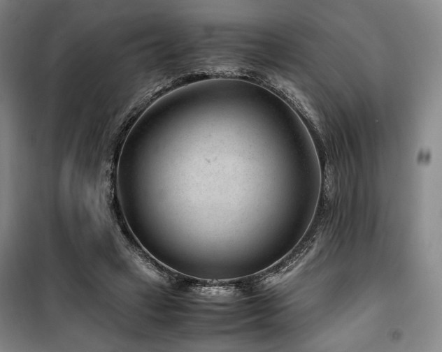 X0000100380449200806061222