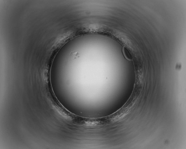 X0000100380450200806061222