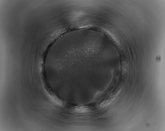 X0000100380451200806061222