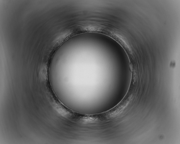 X0000100380453200806061222