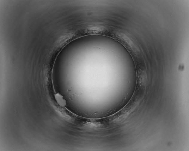 X0000100380455200806061222