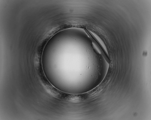 X0000100380456200806061222