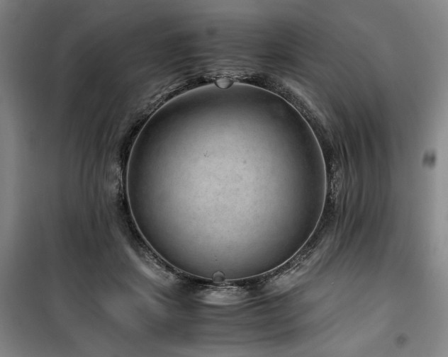 X0000100380459200806061222