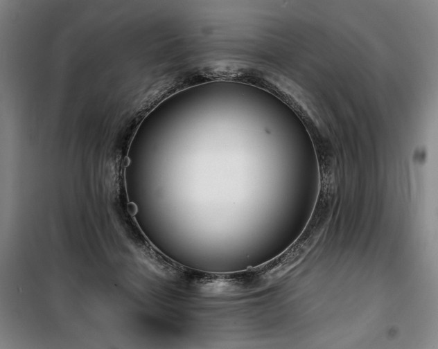 X0000100380460200806061222