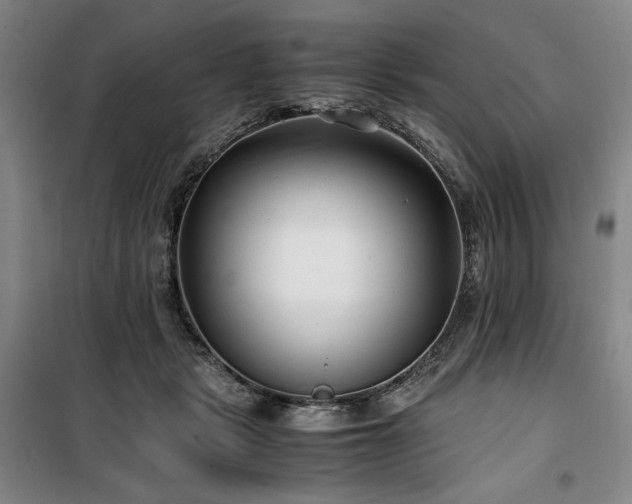 X0000100380461200806061222