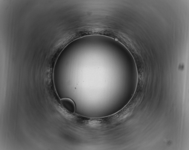 X0000100380462200806061222