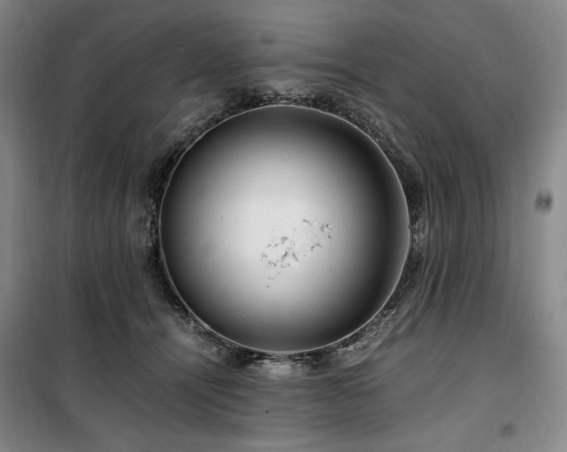 X0000100380464200806061222