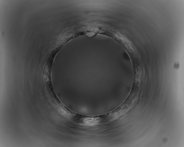 X0000100380465200806061222