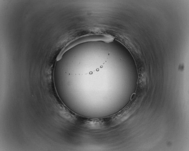 X0000100380466200806061222