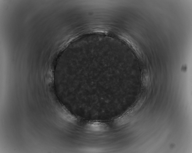 X0000100380467200806061223